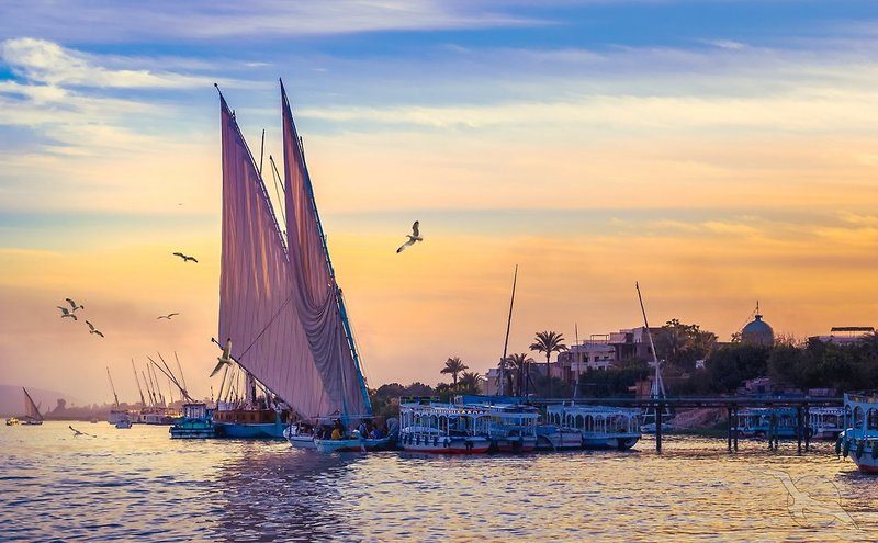 Phoenix Reisen - Ägypten Total mit Nilkreuzfahrt Memnon Steigenberger First-Class & Iberotel Makadi Beach