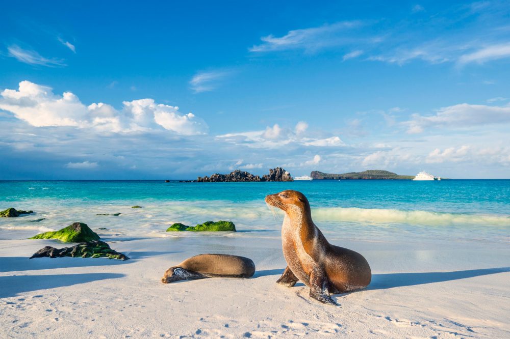 Berge & Meer - Ecuador & Galápagos-Inseln - Anden & Evolution hautnah