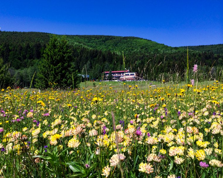 Reisen mit Sinnen - Naturparadies im Herzen Europas