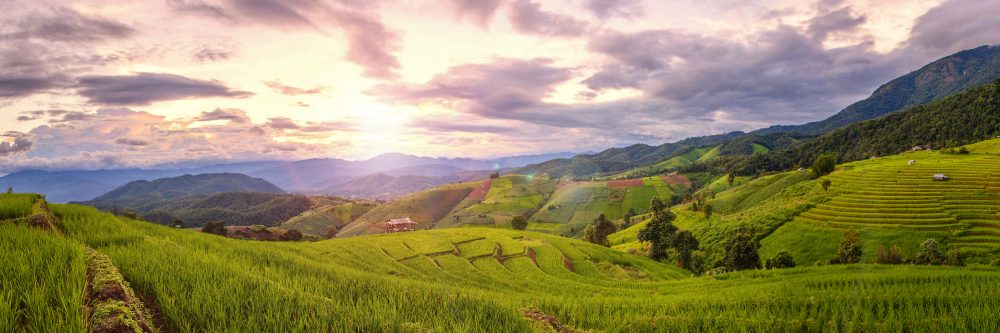 Reisen mit Sinnen - Natur & Großstadtflair im Norden Thailands