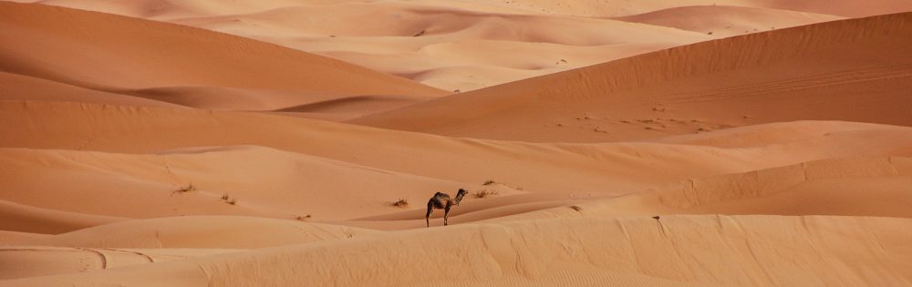 Chamäleon - Tunesien Sahara 9 Tage Erlebnis-Reise