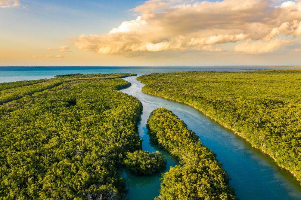Berge & Meer - Floridas Vielfalt erleben: von Miami bis Key West