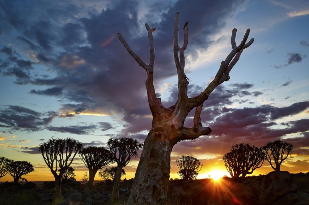 DIAMIR Erlebnisreisen - Namibia - Farbenvielfalt vor der Linse