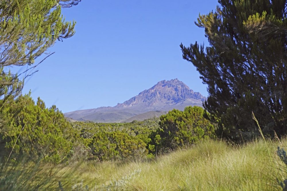 DIAMIR Erlebnisreisen - Tansania - Mount Kilimanjaro – das Dach Afrikas via Marangu-Route