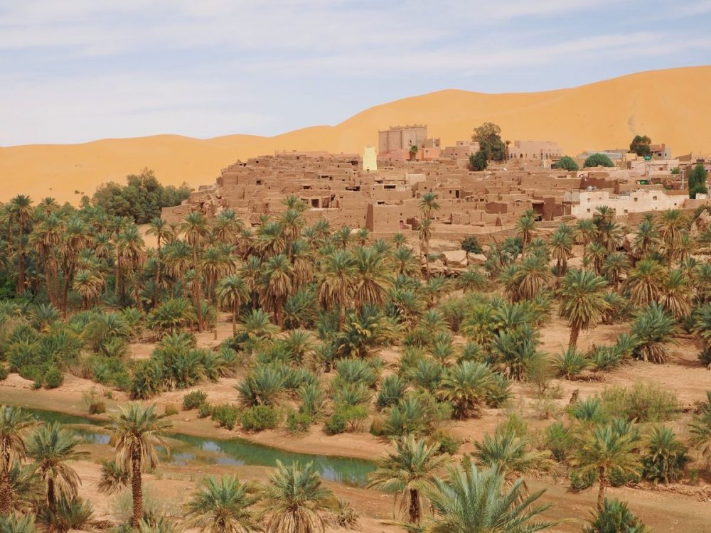 DIAMIR Erlebnisreisen - Algerien - Saoura-Oasen und Mozabiten