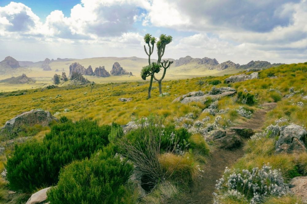 DIAMIR Erlebnisreisen - Kenia - Die Savanne und das Hochland aktiv entdecken