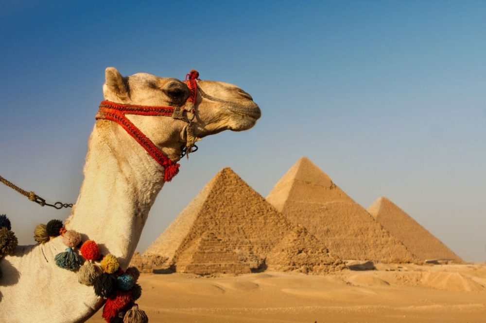DIAMIR Erlebnisreisen - Ägypten - Land der Pharaonen