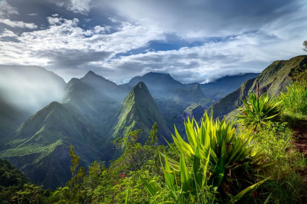 DIAMIR Erlebnisreisen - La Réunion - Bonjour auf der kreolischen Vulkaninsel
