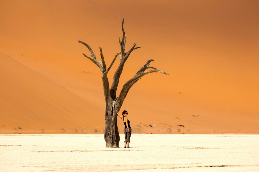 DIAMIR Erlebnisreisen - Namibia • Botswana • Simbabwe - Afrika von seiner schönsten Seite