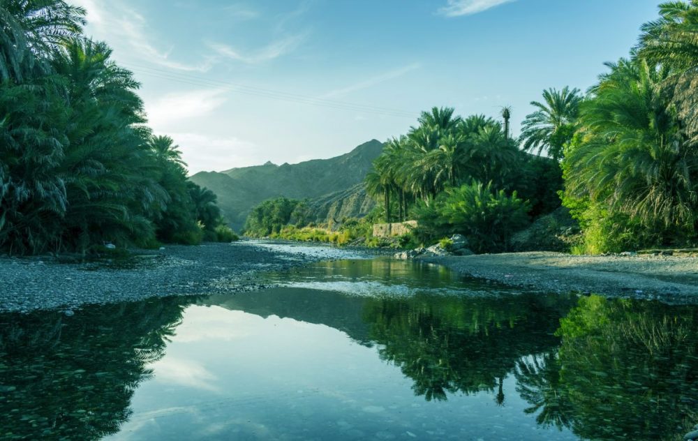 DIAMIR Erlebnisreisen - Oman - Weihrauch, Wüste und wilde Wadis