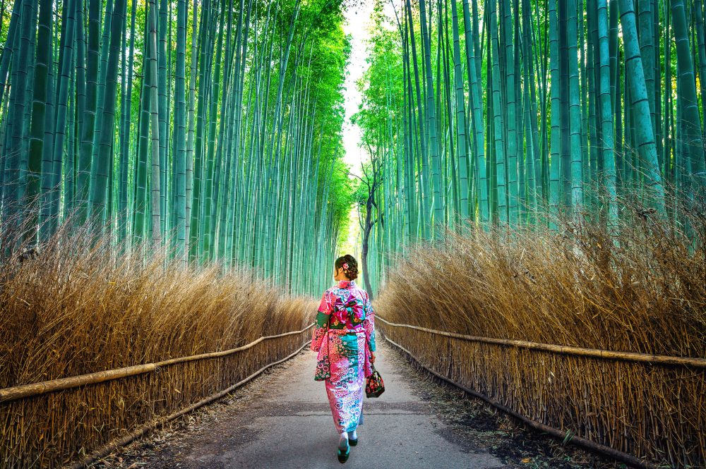Berge & Meer - Japans schönste Impressionen