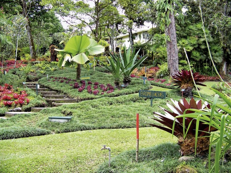 Meiers Weltreisen - Pura Vida - Costa Rica hautnah (Privatreise)