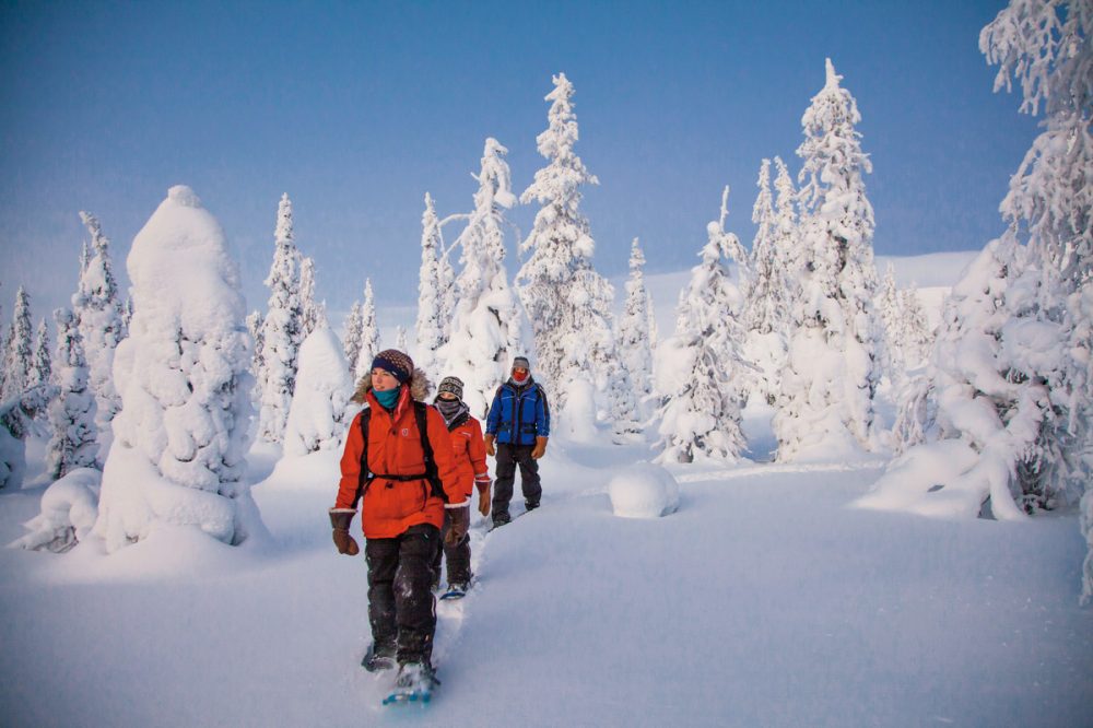 Dertour - Lappland kompakt