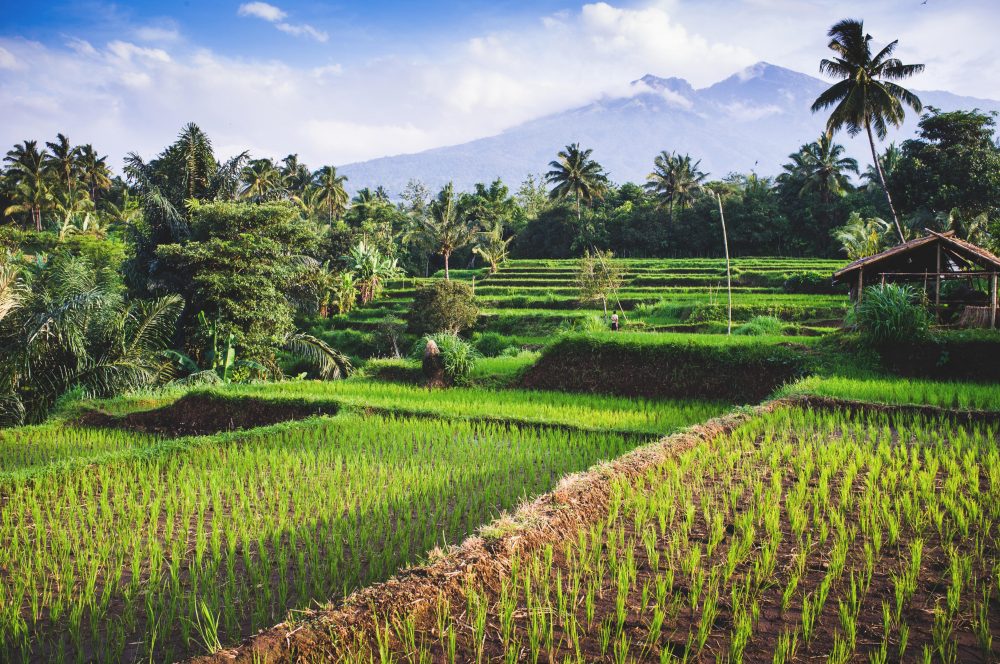 Berge & Meer - Asiens Inselwelt entdecken & Baden auf Bali