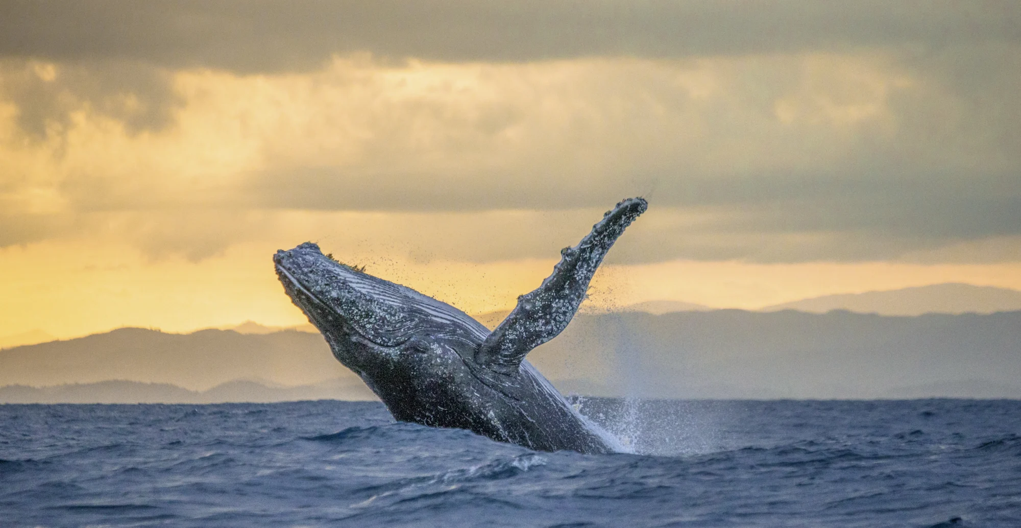 Wolters Rundreisen - Autoreise Azoren: Das verborgene Hawaii Europas