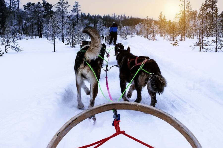 Marco Polo Young Line Travel - Finnland - Auf der Rentierroute im eisigen Norden