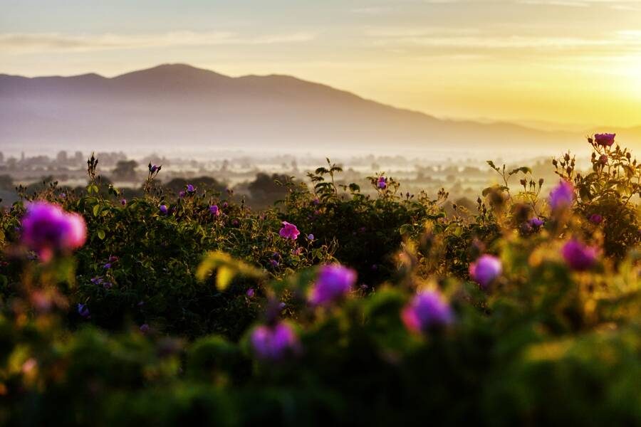 Studiosus - Bulgarien - Kl&ouml;ster, Berge und Meer