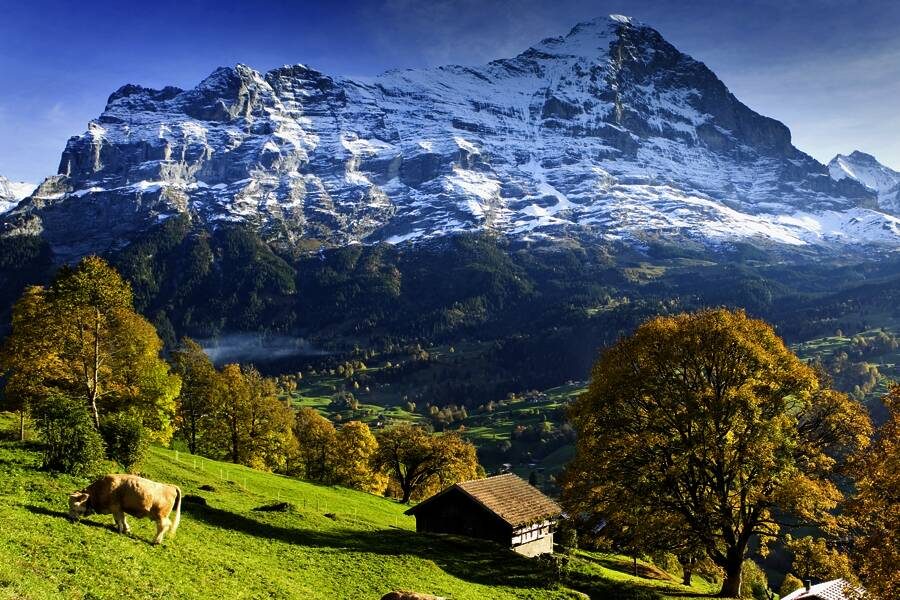 Studiosus - Schweiz &ndash; Bernina und Glacier Express - per Bahn durch die Berge