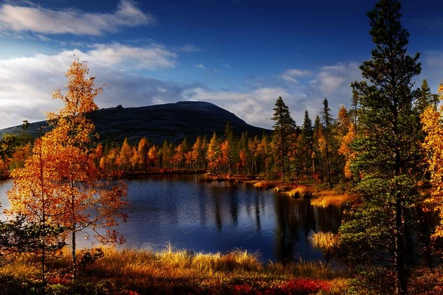 Studiosus - Finnland - Herbstlaubf&auml;rbung im Norden