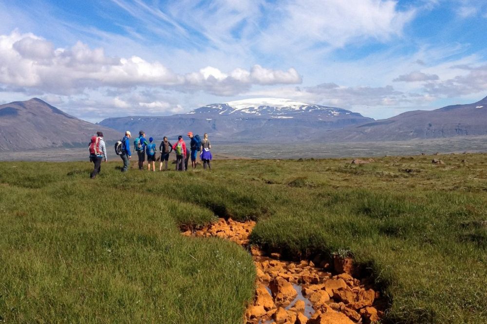DIAMIR Erlebnisreisen - Island - Lava, H&ouml;hlen, Heide