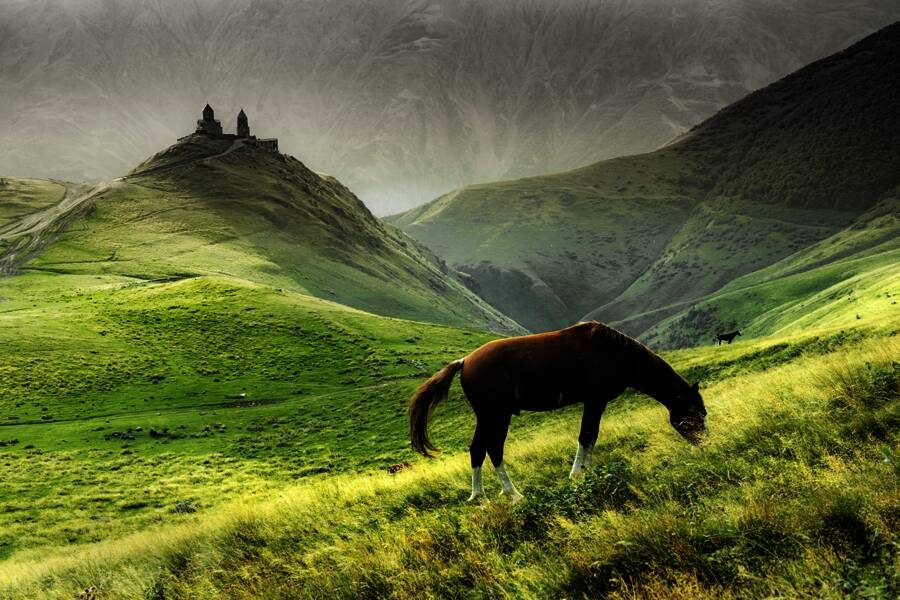 Marco Polo Reisen - Georgien - Land der Wunder