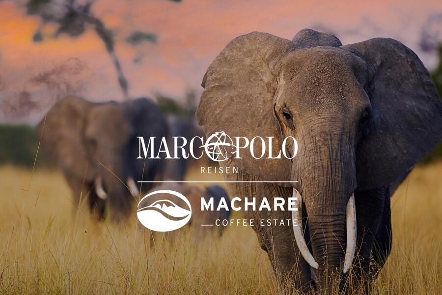 Marco Polo Reisen - Tansania - Kaffeedurst auf Abenteuer