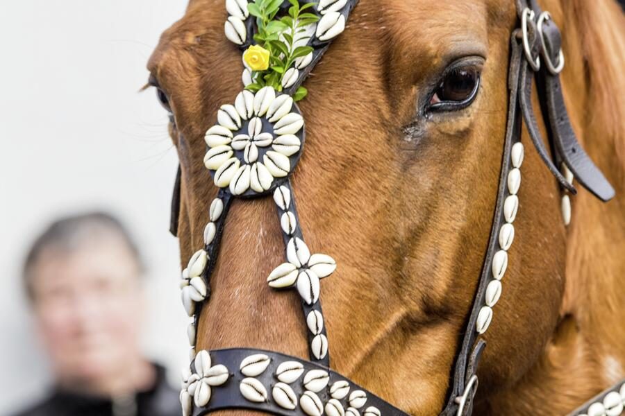 Studiosus - Deutschland - Sorbische Osterbr&auml;uche in der Lausitz
