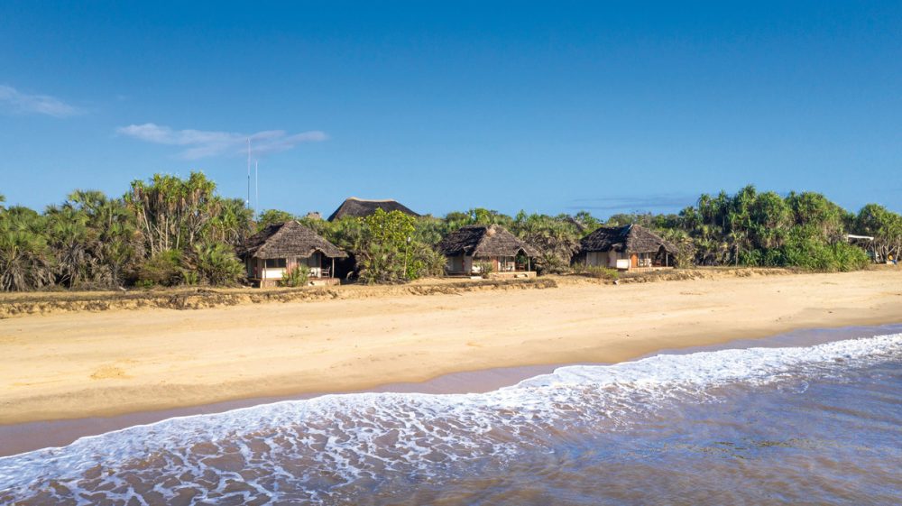 Meiers Weltreisen - Saadani Safari