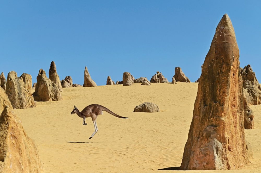 Meiers Weltreisen - Kimberley Explorer & Pinnacles