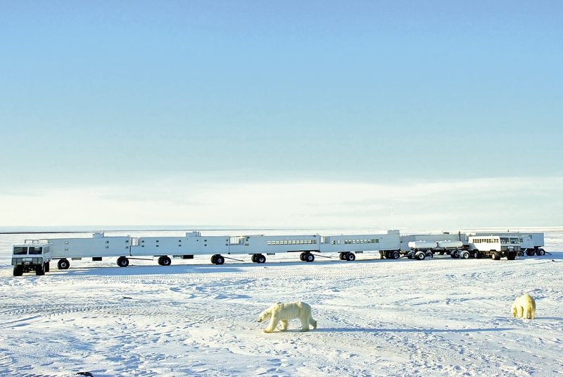 Meiers Weltreisen - Erlebnis Eisb&auml;ren mit Tundra Buggy Lodge (5 N&auml;chte)