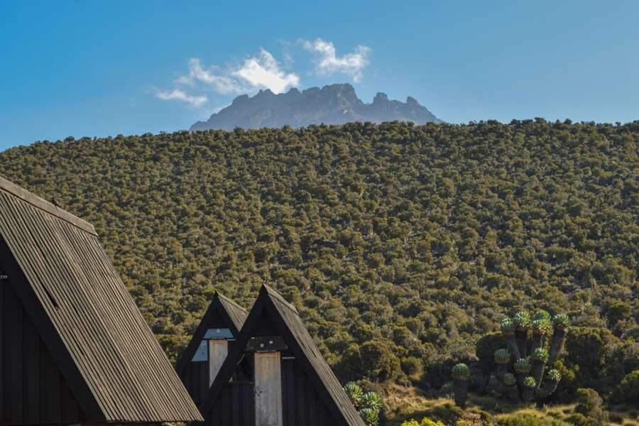 Hauser exkursionen - Kilimanjaro - Marangu-Route (Wunschtermin)