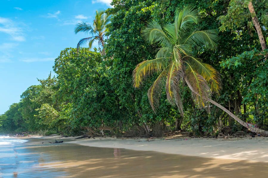 Hauser exkursionen - Costa Rica - Wandern im wilden S&uuml;den