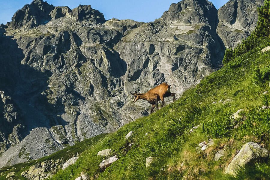 Hauser exkursionen - Slowakei - Trekkingreise &uuml;ber die Hohe Tatra