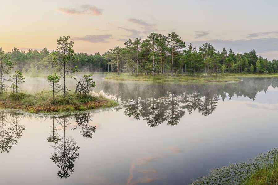 Hauser exkursionen - Baltikum - Naturlandschaften & Hauptst&auml;dte