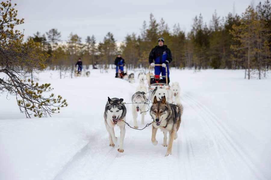 Hauser exkursionen - Finnland - Aktive Winterreise am Polarkreis