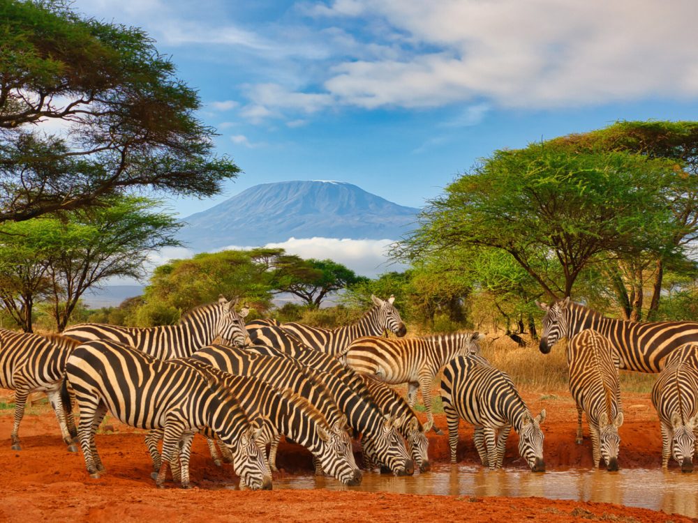 TUI Rundreisen - Rundreise Kenia - Severin Safari Camp