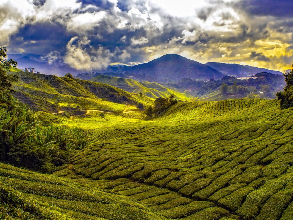 TUI Rundreisen - Rundreise Best of Malaysia in der Kleingruppe