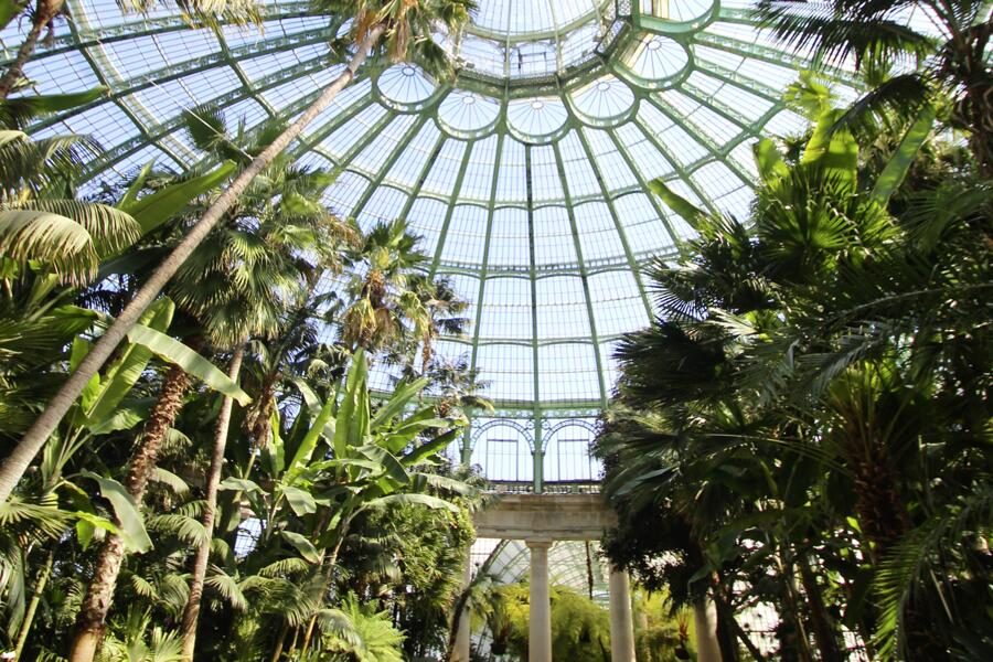 Studiosus - Belgien - Botanische Highlights in Br&uuml;ssel