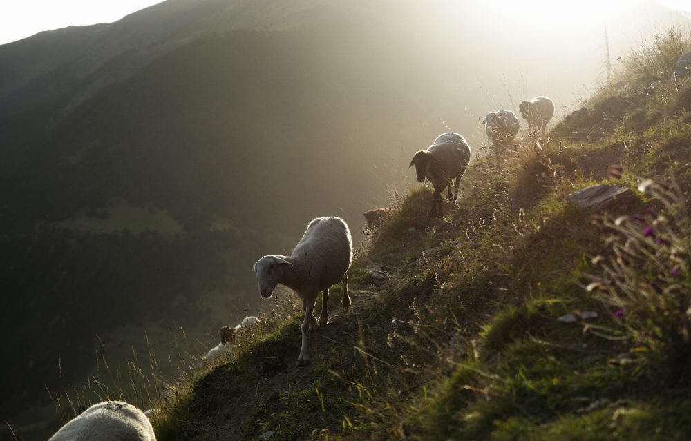 Berge & Meer - Wanderparadies in den Pyren&auml;en