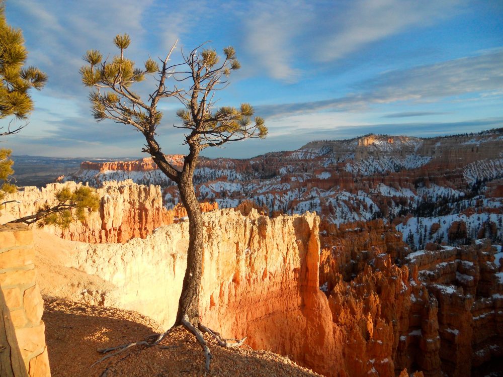 Berge & Meer - Der Westen der USA: Zwischen Las Vegas, Yosemite & Route 66