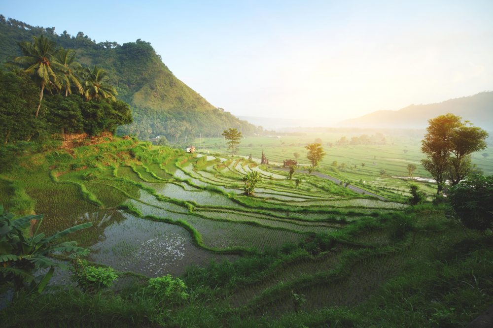 Berge & Meer - Bali zwischen Kultur und Strand genie&szlig;en