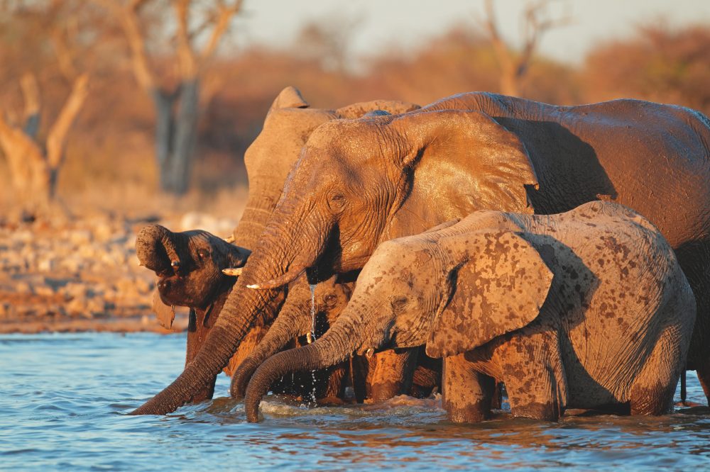 Berge & Meer - Namibias raue Sch&ouml;nheit f&uuml;hlen