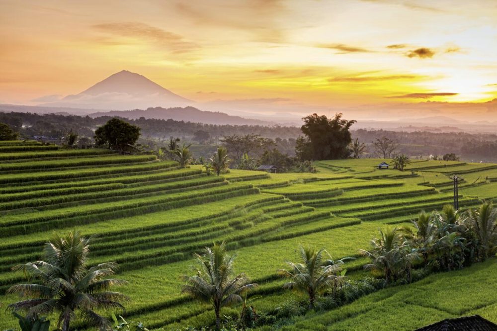 Dertour - Ubud und Umgebung