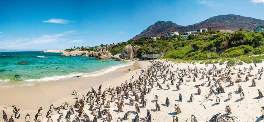 Meiers Weltreisen - Kapstadt & Namibia &ndash; Urbaner Lifestyle & endlose Weiten