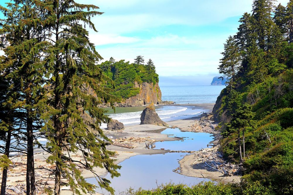 Meiers Weltreisen - Pacific Northwest - wilde K&uuml;sten und Nationalparks