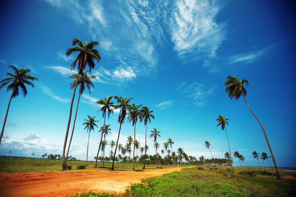Berge & Meer - Erlebnisreisen Togo & Benin: Zwischen Tradition und Tropenzauber