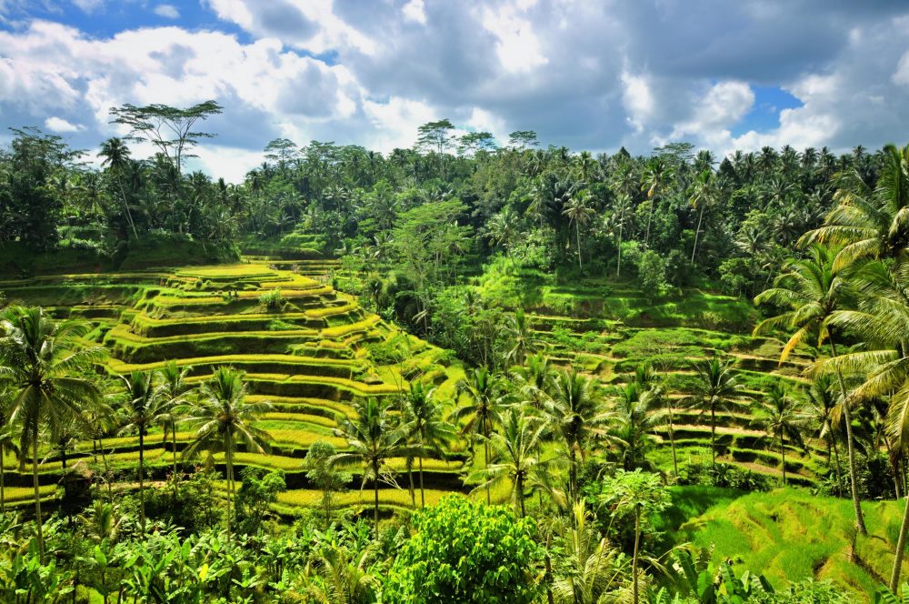 Berge & Meer - Rundreisen Indonesien: Inseltr&auml;ume zwischen Vulkanen und Tempeln