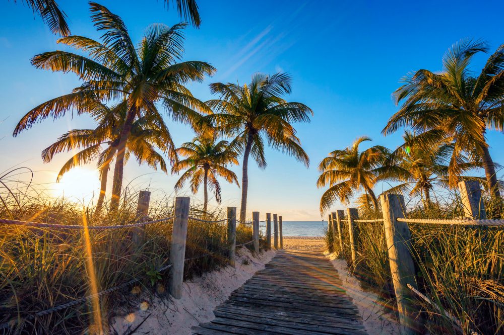 Berge & Meer - Kombinationsreisen USA-Florida & Karibik: Kreuzfahrt mit der Freedom of the Seas ab/an Miami inkl. Florida-Rundreise