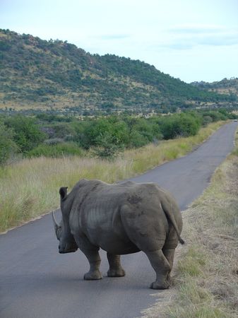 Gebeco - Südafrika - Wilde Küste und grüne Berge