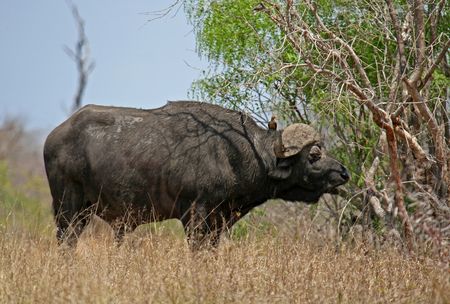 Marco Polo Reisen - Südafrika - Mini-Gruppe – nur 4-12 Teilnehmer